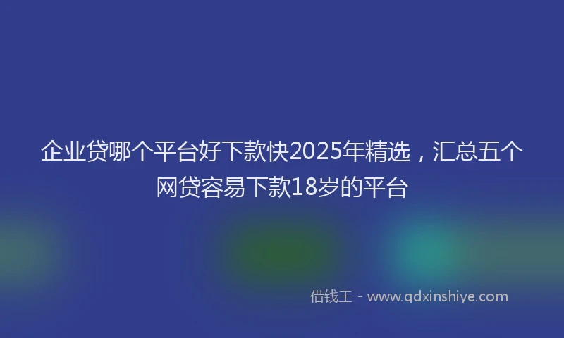 企业贷哪个平台好下款快2025年精选，汇总五个网贷容易下款18岁的平台