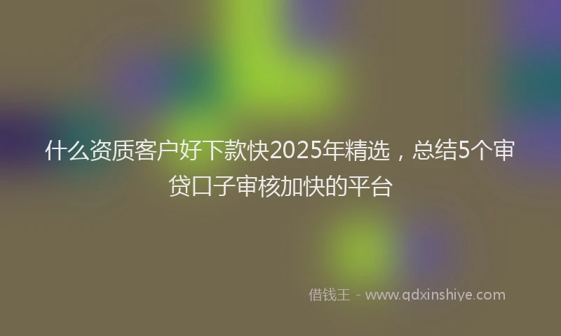什么资质客户好下款快2025年精选，总结5个审贷口子审核加快的平台