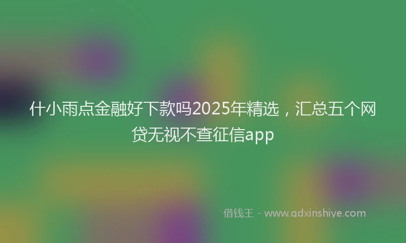 什小雨点金融好下款吗2025年精选，汇总五个网贷无视不查征信app