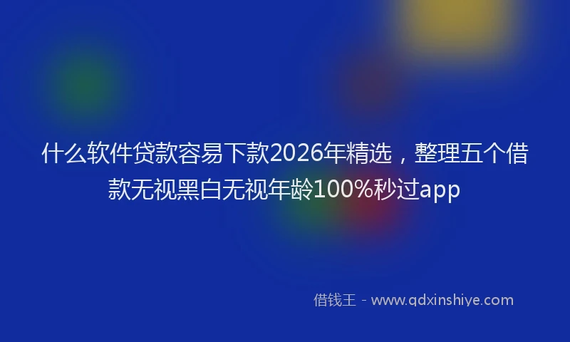 什么软件贷款容易下款2026年精选，整理五个借款无视黑白无视年龄100%秒过app