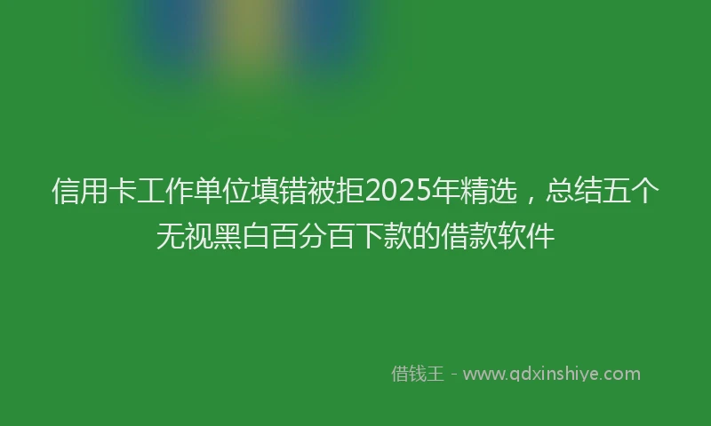信用卡工作单位填错被拒2025年精选,总结五个无视黑白百分百下款的借款软件