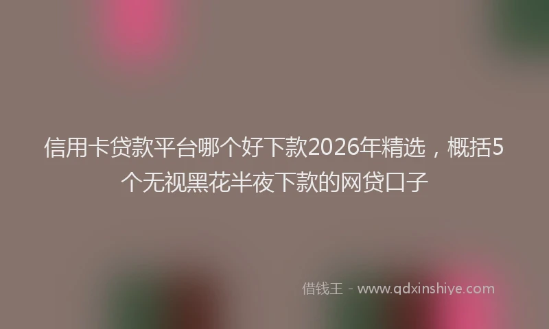 信用卡贷款平台哪个好下款2026年精选，概括5个无视黑花半夜下款的网贷口子