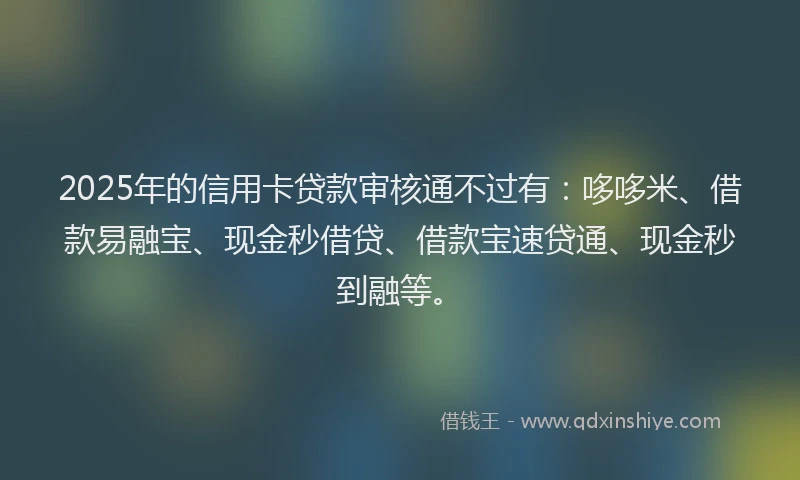 2025年的信用卡贷款审核通不过有：哆哆米、借款易融宝、现金秒借贷、借款宝速贷通、现金秒到融等。