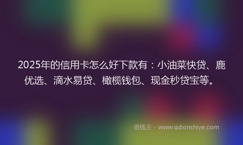 2025年的信用卡怎么好下款有:小油菜快贷、鹿优选、滴水易贷、橄榄钱包、现金秒贷宝等。