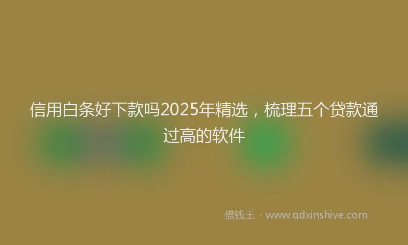 信用白条好下款吗2025年精选，梳理五个贷款通过高的软件