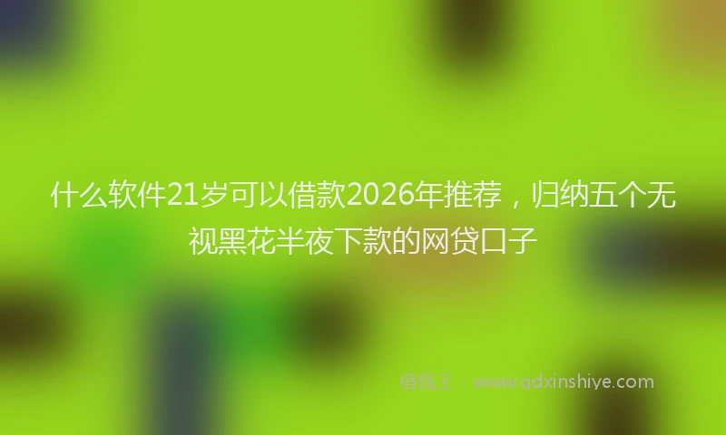 什么软件21岁可以借款2026年推荐，归纳五个无视黑花半夜下款的网贷口子