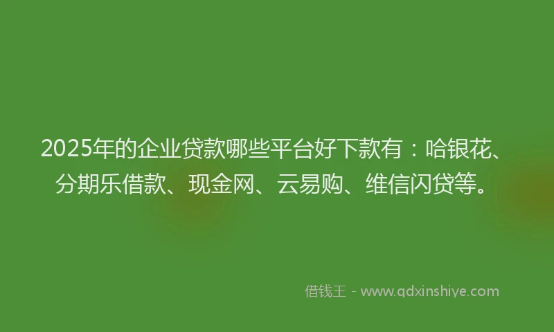 2025年的企业贷款哪些平台好下款有：哈银花、分期乐借款、现金网、云易购、维信闪贷等。
