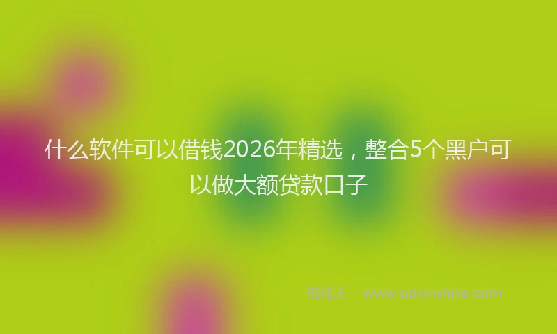 什么软件可以借钱2026年精选，整合5个黑户可以做大额贷款口子