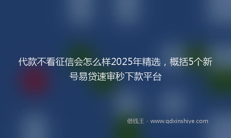 代款不看征信会怎么样2025年精选，概括5个新号易贷速审秒下款平台