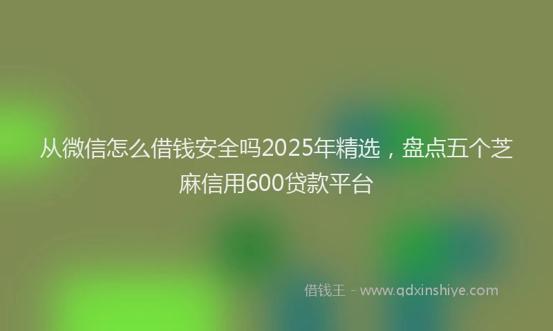 从微信怎么借钱安全吗2025年精选，盘点五个芝麻信用600贷款平台