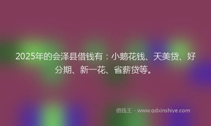2025年的会泽县借钱有：小鹅花钱、天美贷、好分期、新一花、省薪贷等。