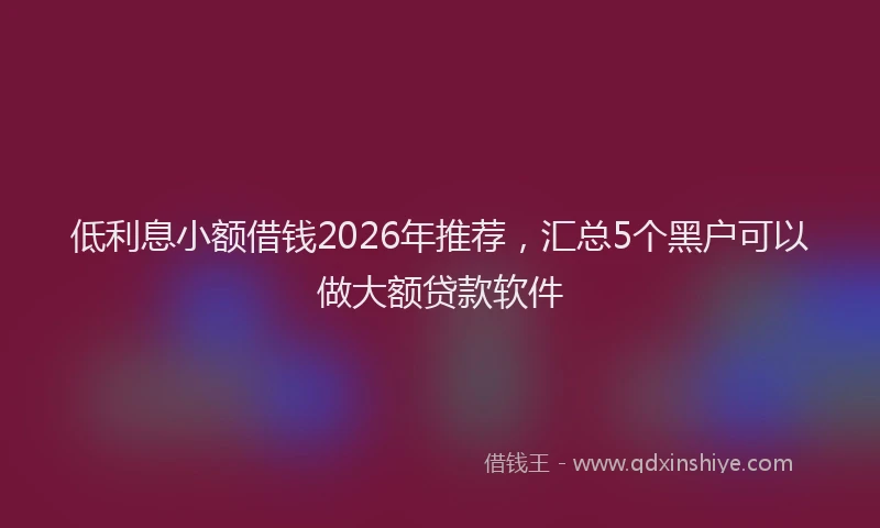 低利息小额借钱2026年推荐，汇总5个黑户可以做大额贷款软件