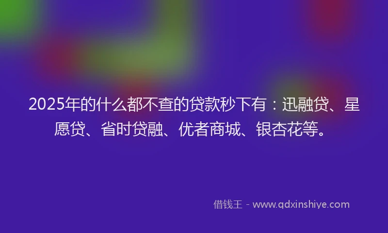 2025年的什么都不查的贷款秒下有：迅融贷、星愿贷、省时贷融、优者商城、银杏花等。