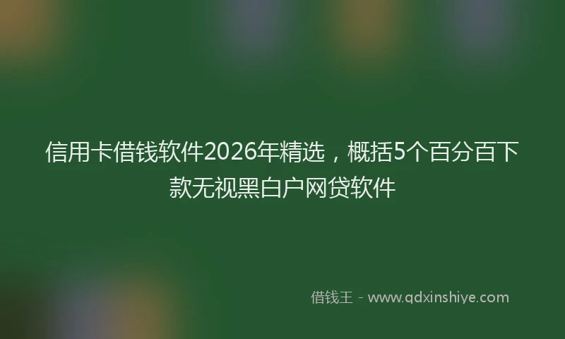 信用卡借钱软件2026年精选，概括5个百分百下款无视黑白户网贷软件
