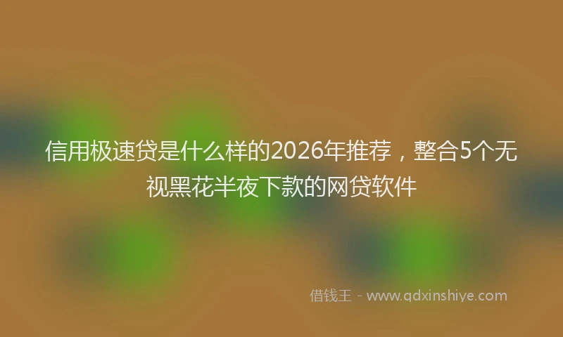 信用极速贷是什么样的2026年推荐，整合5个无视黑花半夜下款的网贷软件