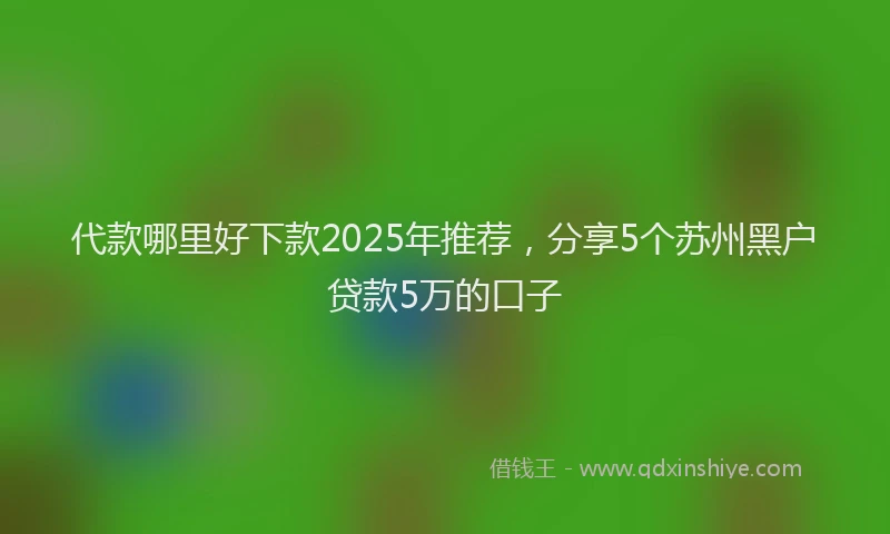代款哪里好下款2025年推荐，分享5个苏州黑户贷款5万的口子