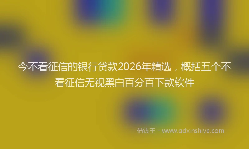 今不看征信的银行贷款2026年精选，概括五个不看征信无视黑白百分百下款软件