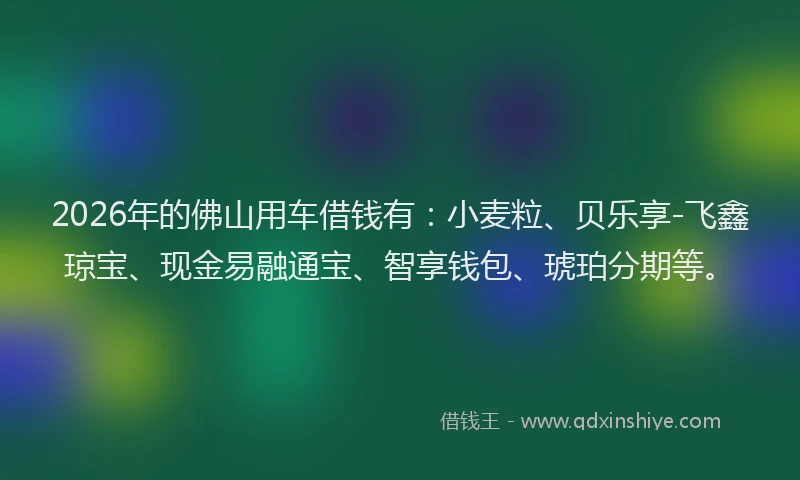 2026年的佛山用车借钱有：小麦粒、贝乐享-飞鑫琼宝、现金易融通宝、智享钱包、琥珀分期等。