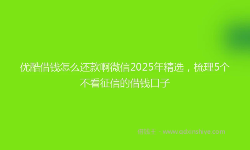 优酷借钱怎么还款啊微信2025年精选，梳理5个不看征信的借钱口子