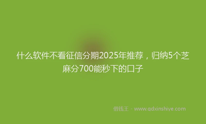 什么软件不看征信分期2025年推荐，归纳5个芝麻分700能秒下的口子