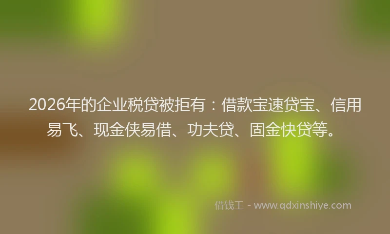 2026年的企业税贷被拒有：借款宝速贷宝、信用易飞、现金侠易借、功夫贷、固金快贷等。