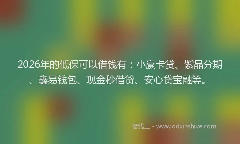 2026年的低保可以借钱有：小赢卡贷、紫晶分期、鑫易钱包、现金秒借贷、安心贷宝融等。