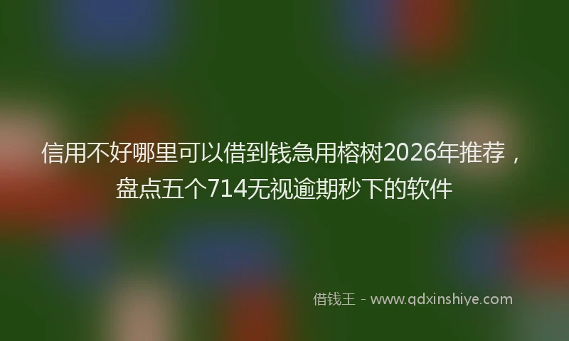 信用不好哪里可以借到钱急用榕树2026年推荐，盘点五个714无视逾期秒下的软件