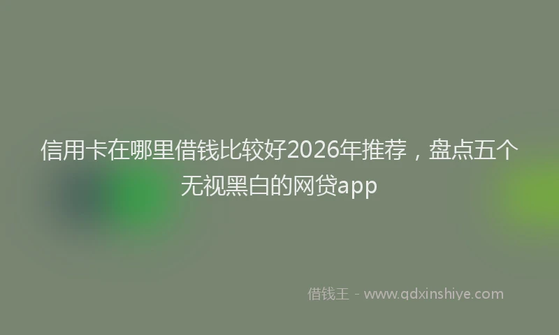 信用卡在哪里借钱比较好2026年推荐，盘点五个无视黑白的网贷app