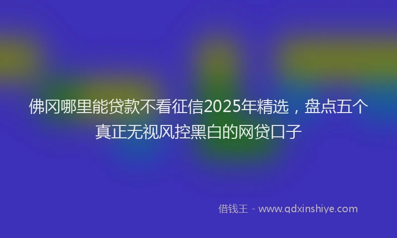 佛冈哪里能贷款不看征信2025年精选，盘点五个真正无视风控黑白的网贷口子