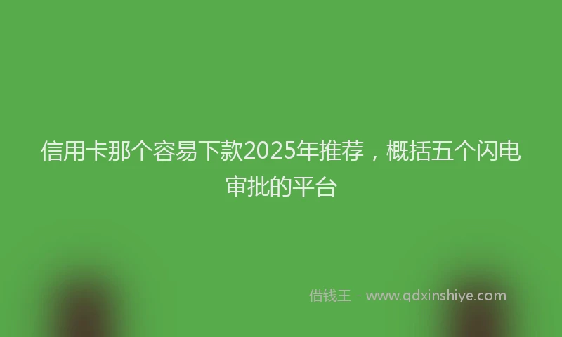 信用卡那个容易下款2025年推荐，概括五个闪电审批的平台