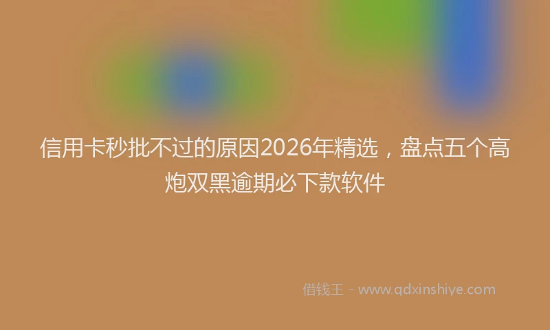 信用卡秒批不过的原因2026年精选，盘点五个高炮双黑逾期必下款软件