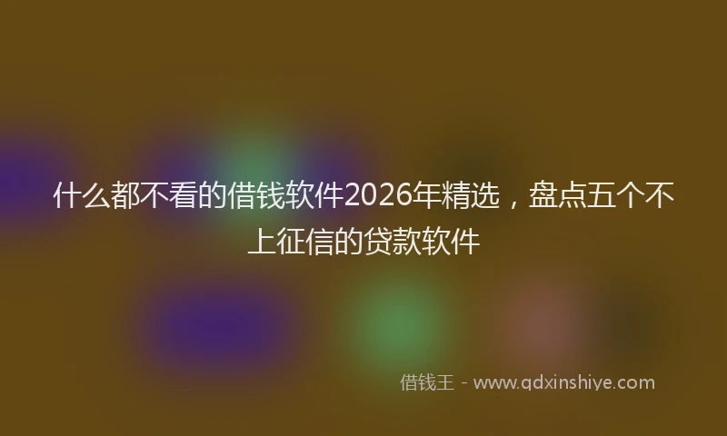 什么都不看的借钱软件2026年精选，盘点五个不上征信的贷款软件