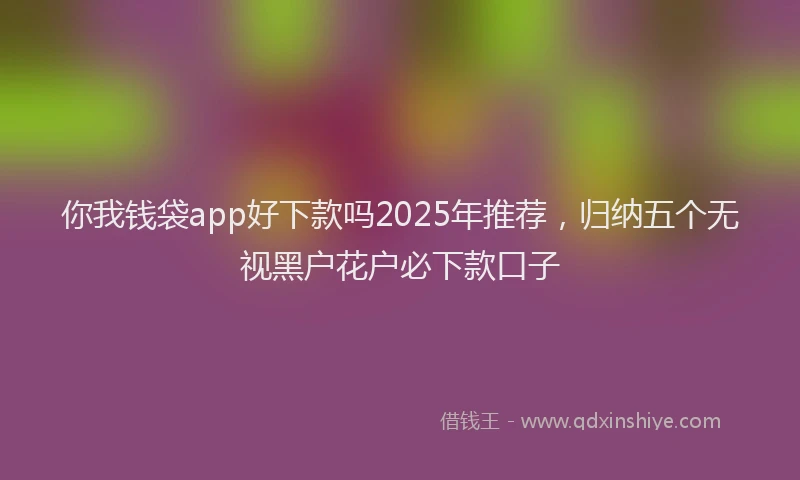 你我钱袋app好下款吗2025年推荐，归纳五个无视黑户花户必下款口子