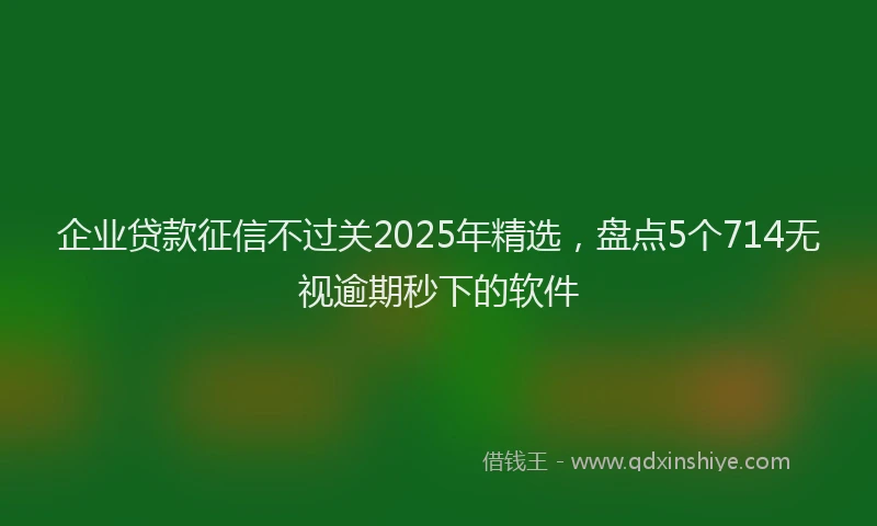 企业贷款征信不过关2025年精选，盘点5个714无视逾期秒下的软件