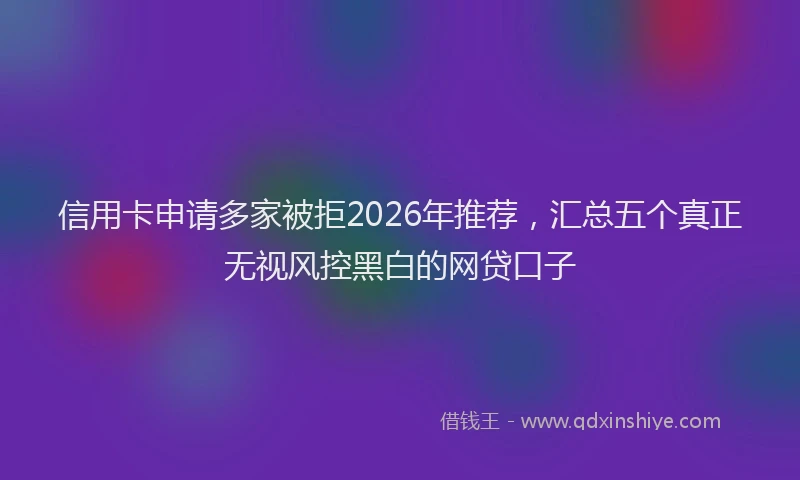 信用卡申请多家被拒2026年推荐，汇总五个真正无视风控黑白的网贷口子