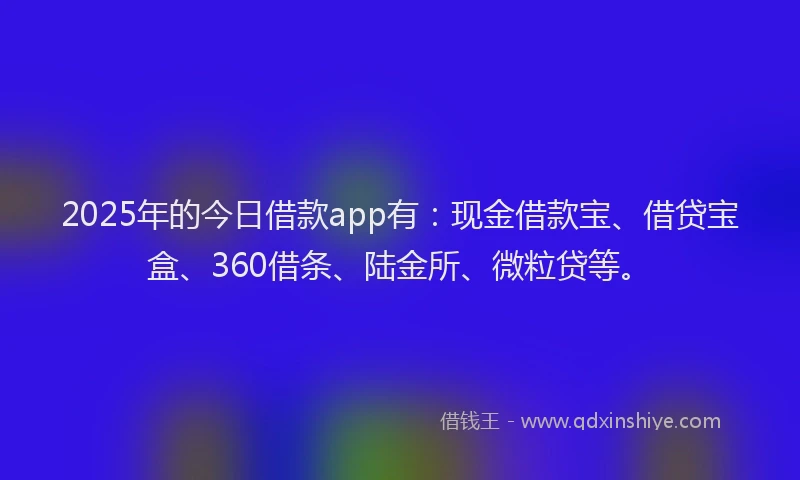 2025年的今日借款app有：现金借款宝、借贷宝盒、360借条、陆金所、微粒贷等。