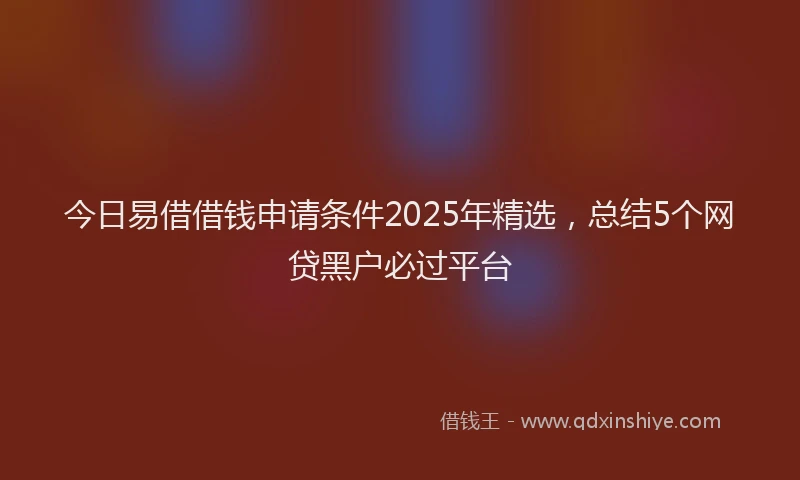 今日易借借钱申请条件2025年精选，总结5个网贷黑户必过平台