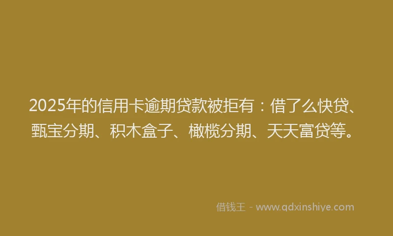 2025年的信用卡逾期贷款被拒有：借了么快贷、甄宝分期、积木盒子、橄榄分期、天天富贷等。