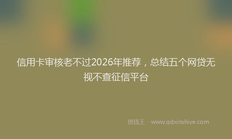 信用卡审核老不过2026年推荐，总结五个网贷无视不查征信平台
