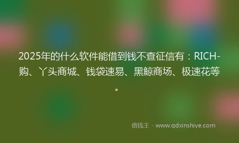 2025年的什么软件能借到钱不查征信有:RICH-购、丫头商城、钱袋速易、黑鲸商场、极速花等。