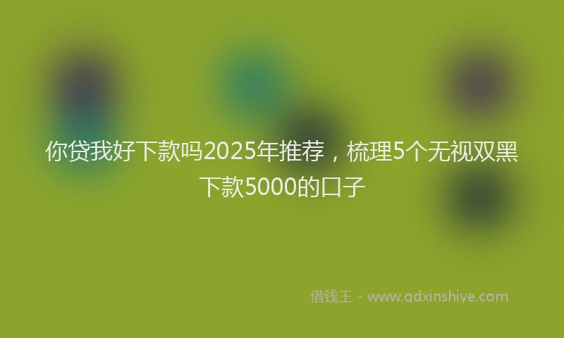 你贷我好下款吗2025年推荐，梳理5个无视双黑下款5000的口子