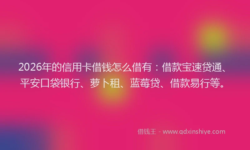 2026年的信用卡借钱怎么借有:借款宝速贷通、平安口袋银行、萝卜租、蓝莓贷、借款易行等。