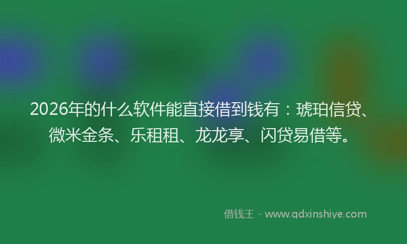 2026年的什么软件能直接借到钱有:琥珀信贷、微米金条、乐租租、龙龙享、闪贷易借等。