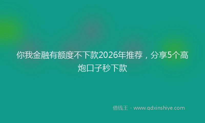 你我金融有额度不下款2026年推荐，分享5个高炮口子秒下款