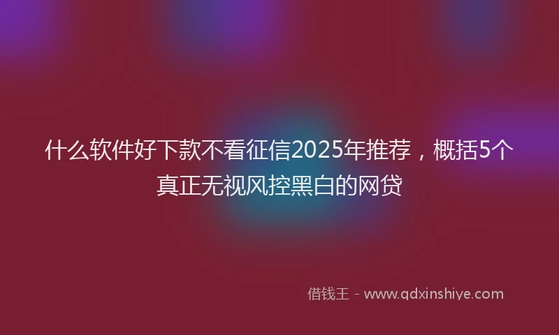 什么软件好下款不看征信2025年推荐，概括5个真正无视风控黑白的网贷
