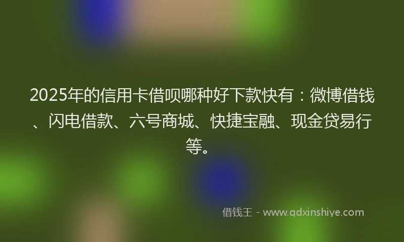 2025年的信用卡借呗哪种好下款快有：微博借钱、闪电借款、六号商城、快捷宝融、现金贷易行等。
