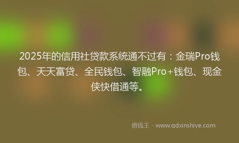 2025年的信用社贷款系统通不过有：金瑞Pro钱包、天天富贷、全民钱包、智融Pro+钱包、现金侠快借通等。