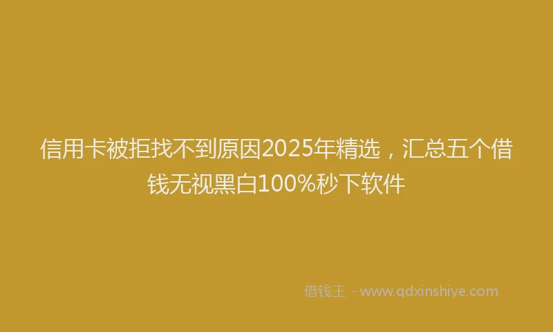 信用卡被拒找不到原因2025年精选，汇总五个借钱无视黑白100%秒下软件