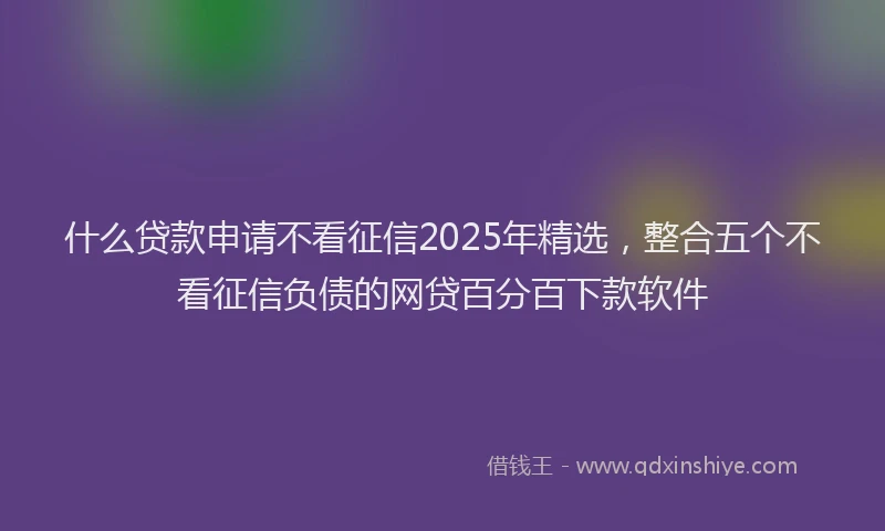 什么贷款申请不看征信2025年精选，整合五个不看征信负债的网贷百分百下款软件
