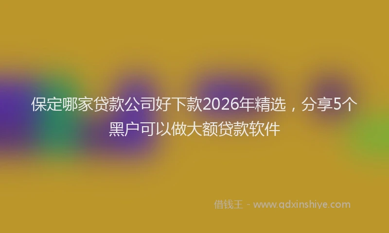 保定哪家贷款公司好下款2026年精选，分享5个黑户可以做大额贷款软件